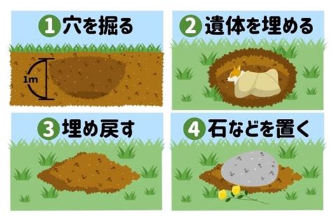 動物埋葬方法|ペットの埋葬｜庭に犬などを土葬することは可能？作 